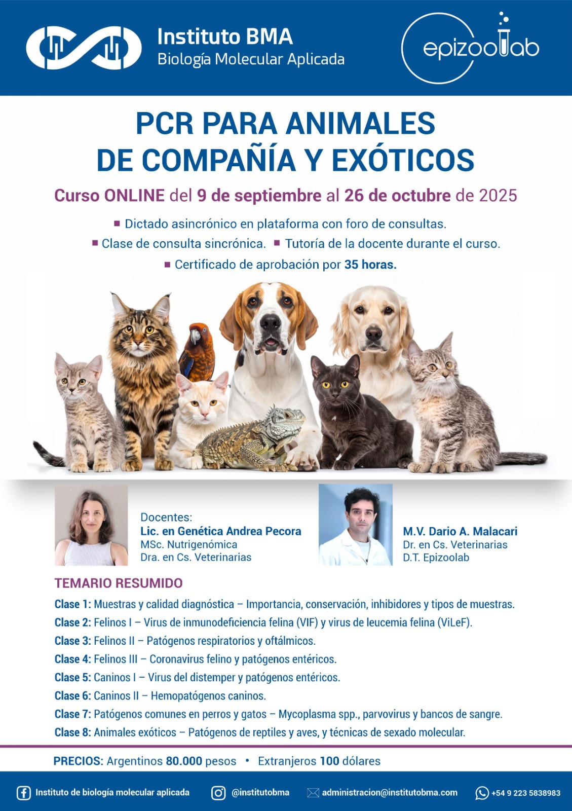 Próximo Curso 